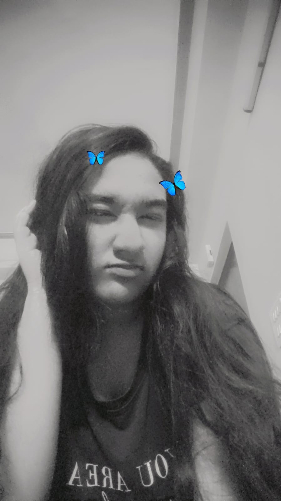 Hemangini butterfly filter